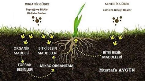 toprağın organik maddesi nasıl arttırılır